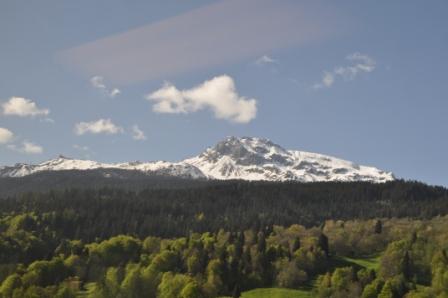 DSC_0028.JPG