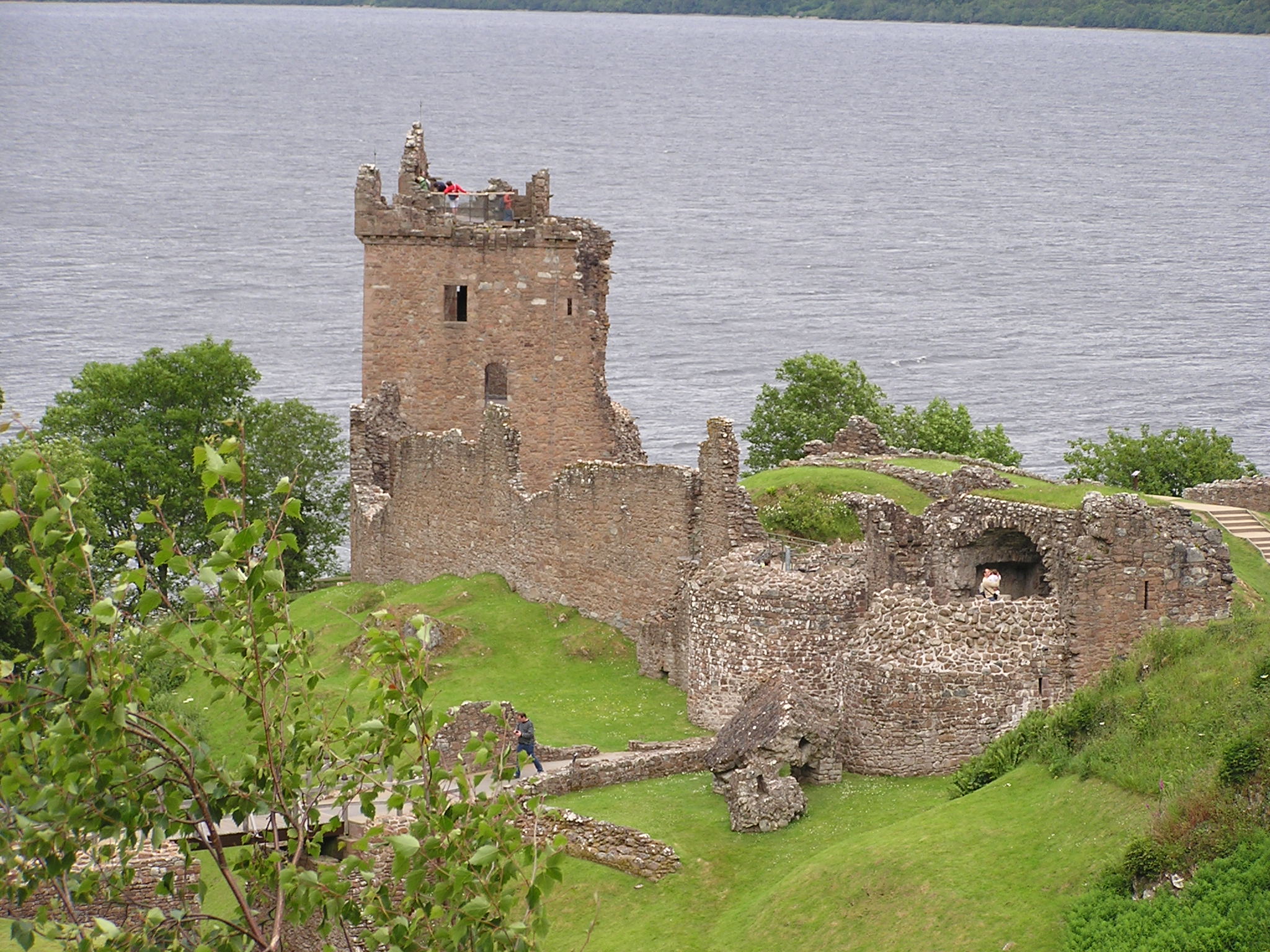 P1010184.JPG